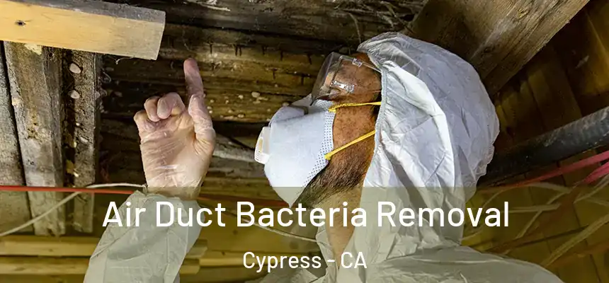  Air Duct Bacteria Removal Cypress - CA