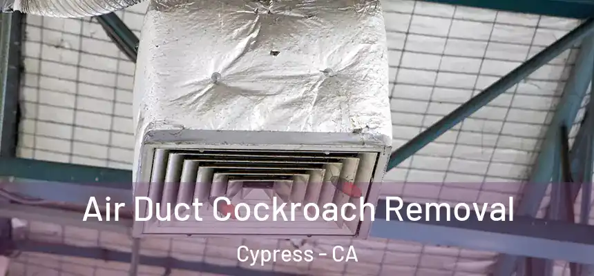  Air Duct Cockroach Removal Cypress - CA