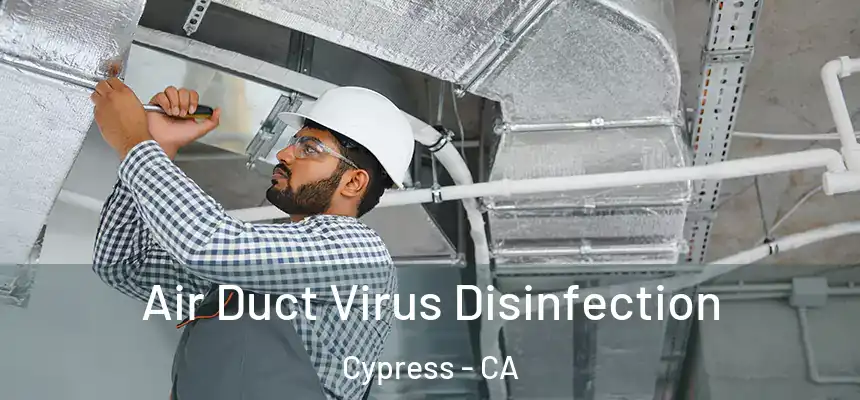  Air Duct Virus Disinfection Cypress - CA