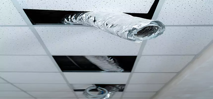 Affordable HVAC Sanitizing After Pest Removal in Cypress