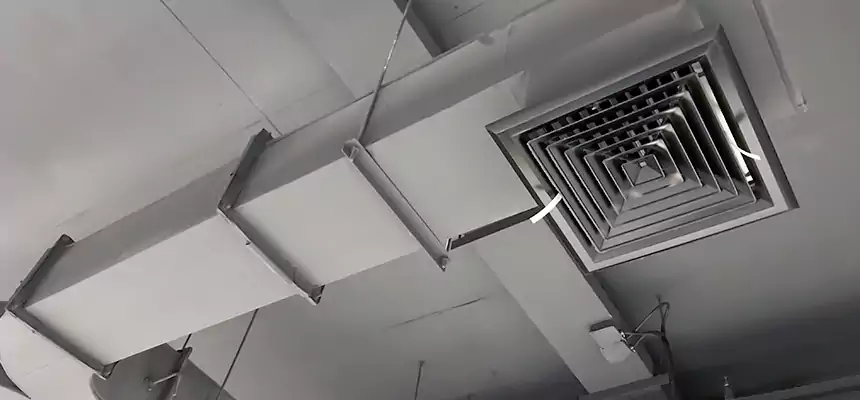 Restorative Allergy Relief Vent Cleaning – Coil, Blower & Housing Detail in Cypress