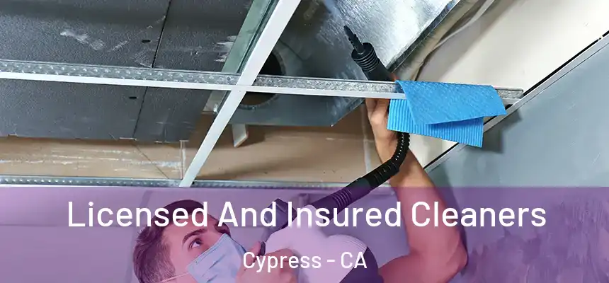  Licensed And Insured Cleaners Cypress - CA