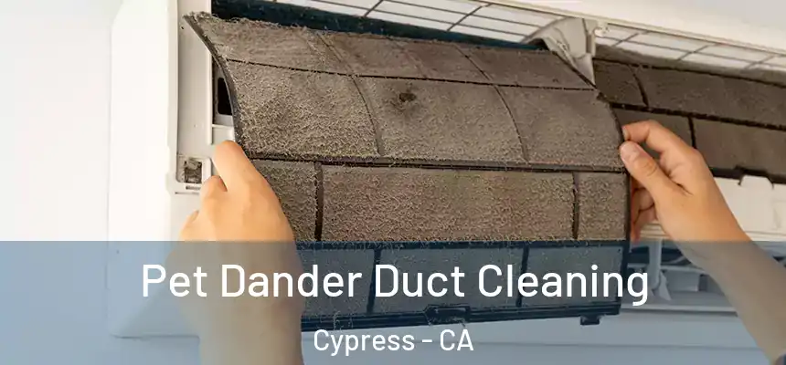  Pet Dander Duct Cleaning Cypress - CA
