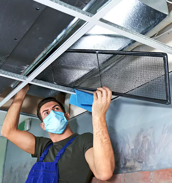 About Air Duct Bacteria Removal in Cypress