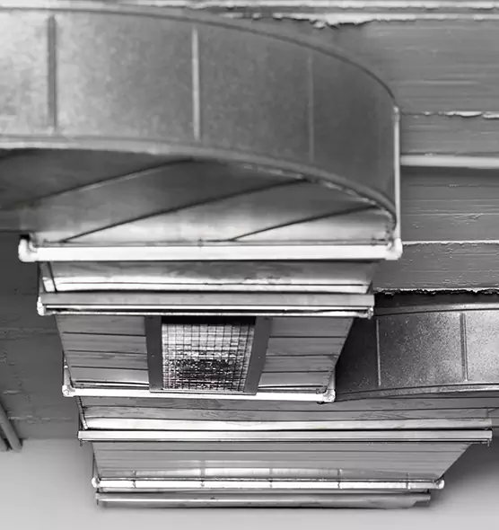 Professional Air Duct Pest Removal in Cypress, CA