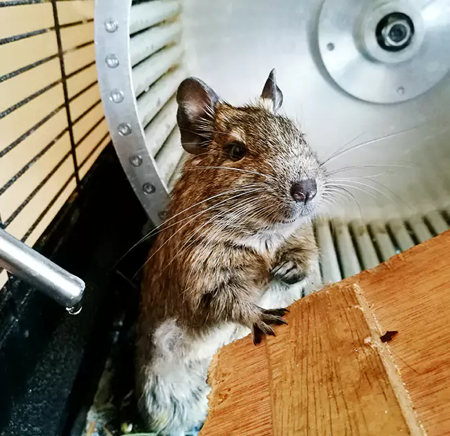 Why Homeowners & Businesses Trust Us Cypress, CA