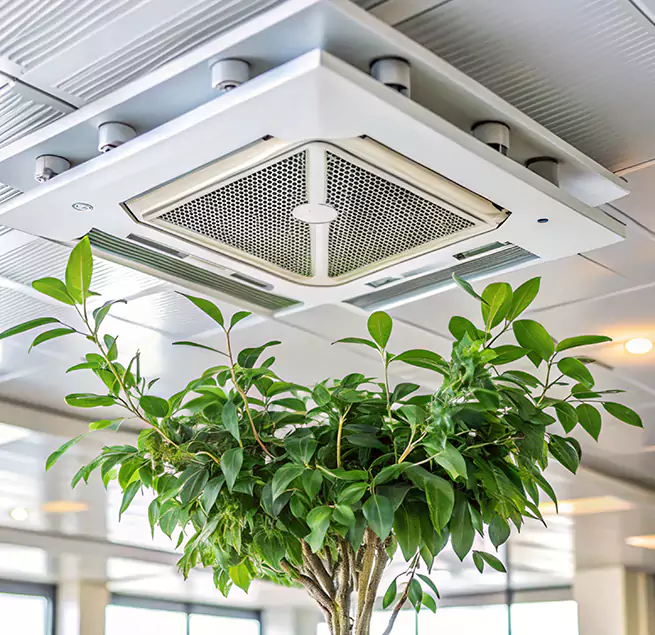 Why Homeowners & Businesses Trust Us in Cypress, CA?